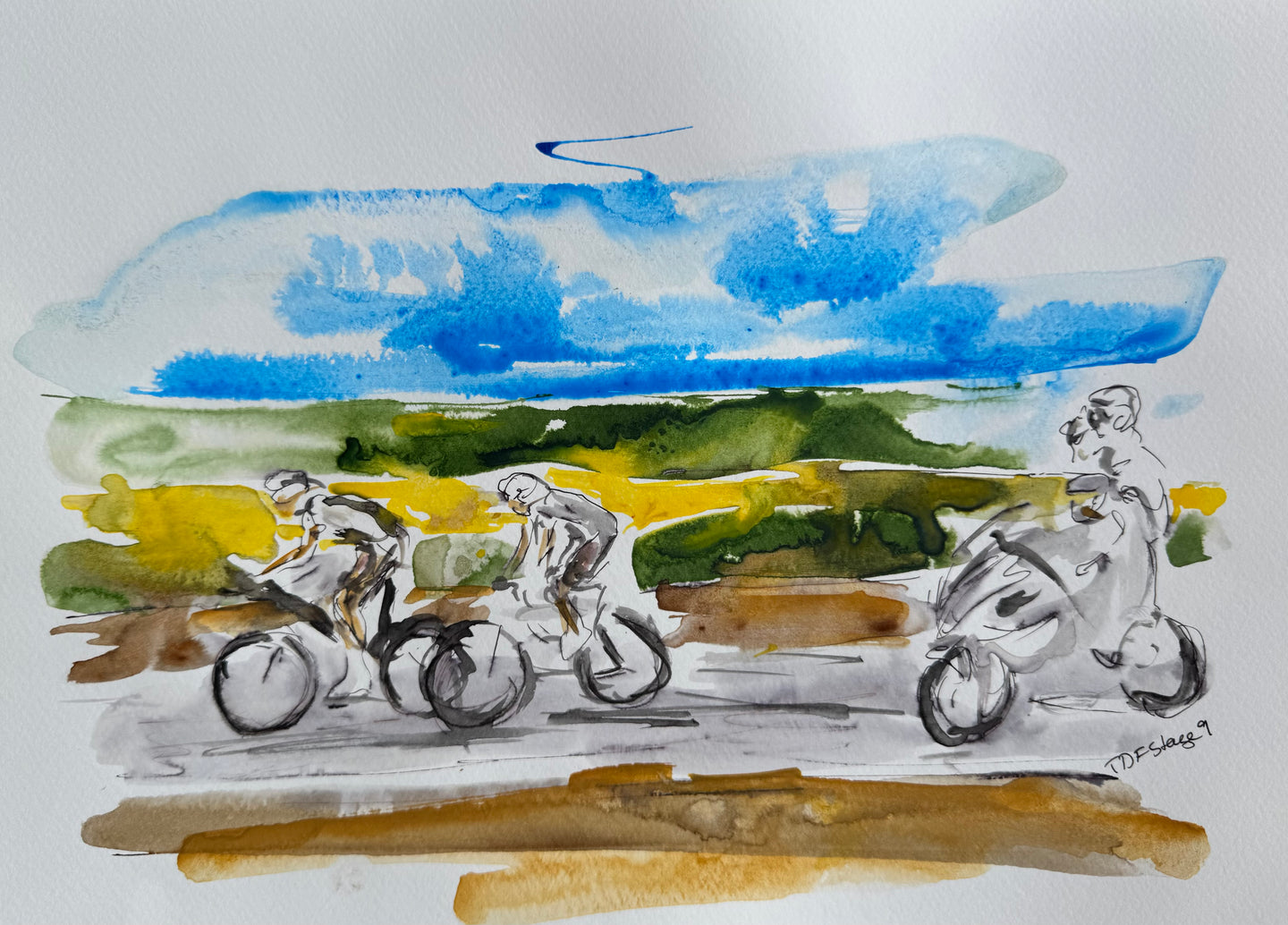 Long Stage Breakaway - stage 9 TDF