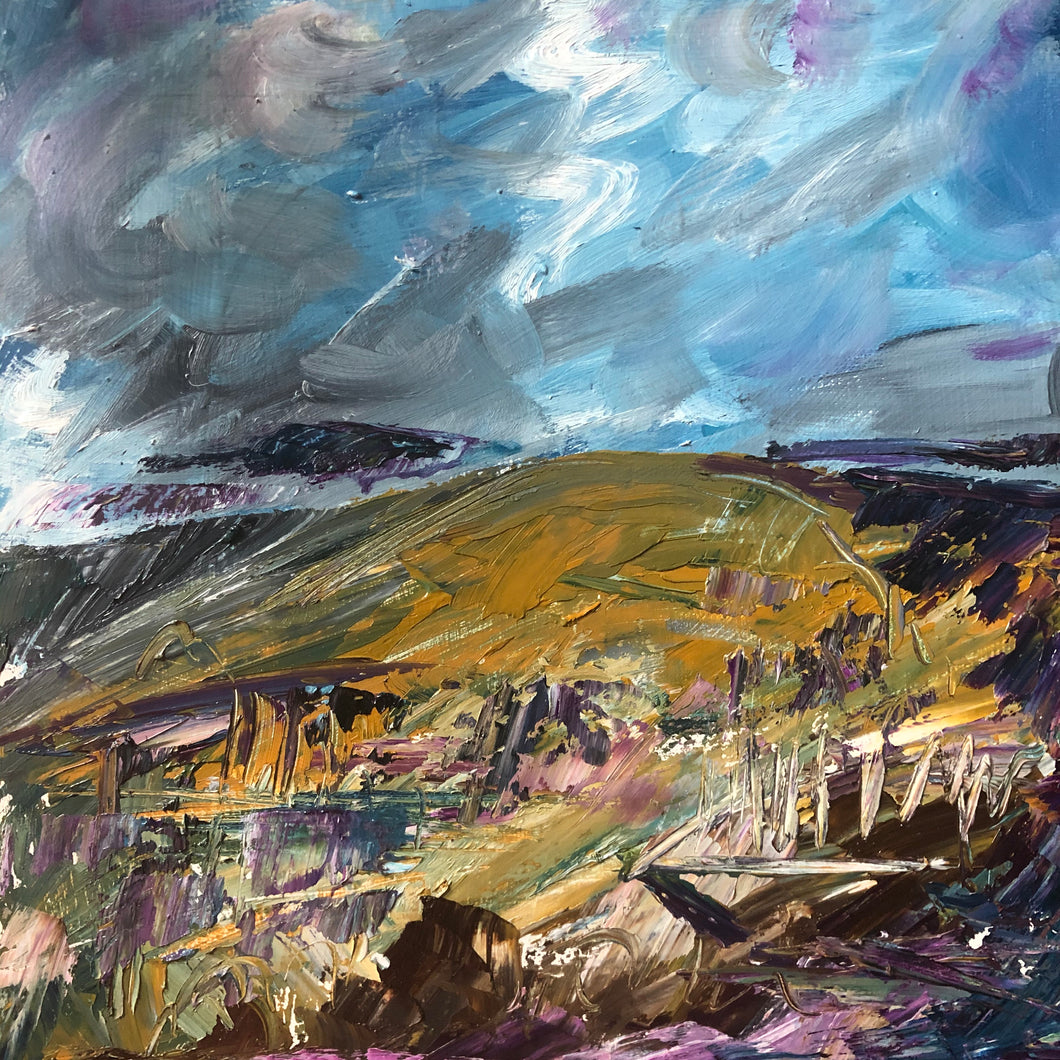 North Yorkshire Moors