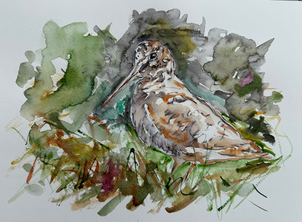 Woodcock - Bird painting – Garth Bayley Art