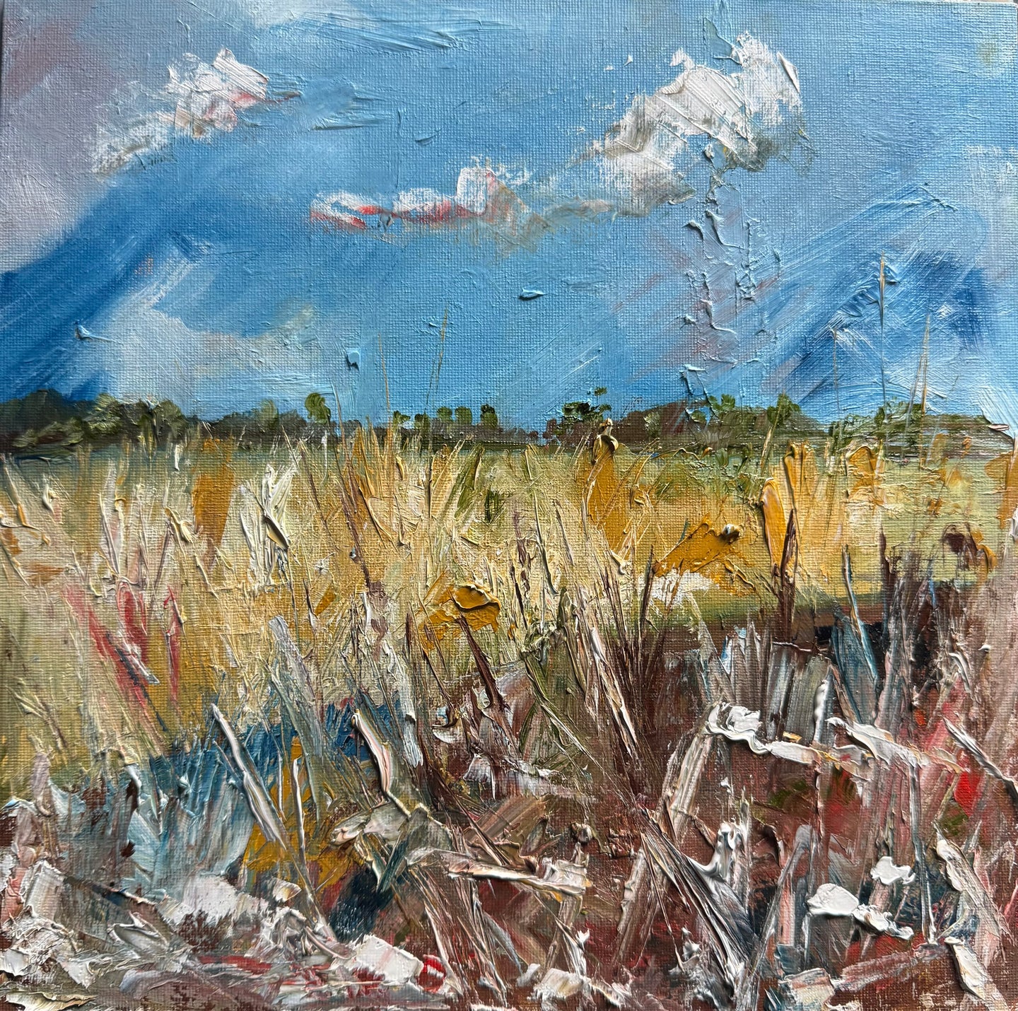 Summer fields
