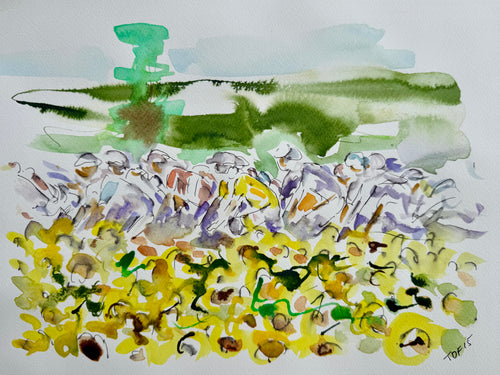 Yellow jersey in the sunflowers -Stage 15 tdf
