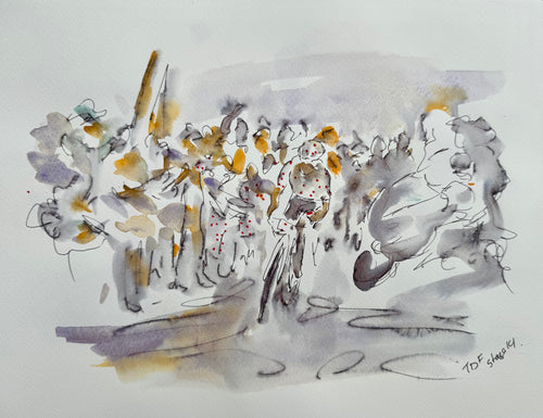 Dots in the Mist -Stage 14 TDF