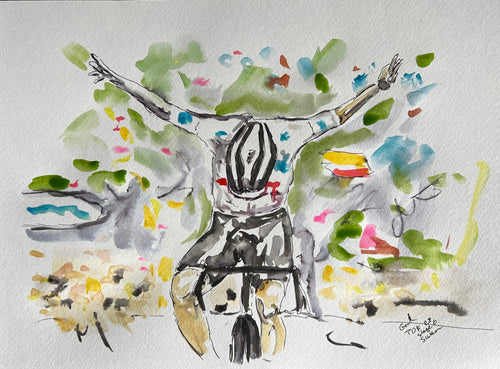 Swan finish - Cycling Painting