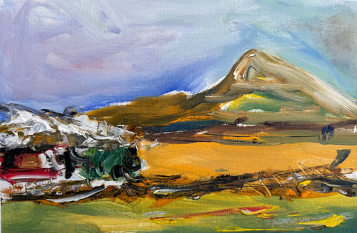 The Flying scotsman visits North Yorshire