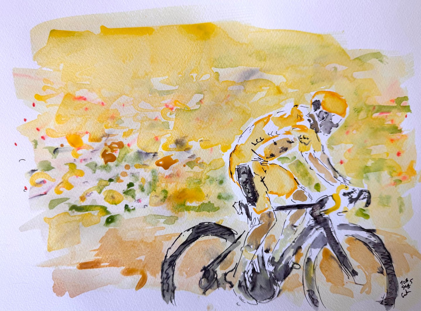 Yellow jersey in the sunflower on stage 5 TDF 2026