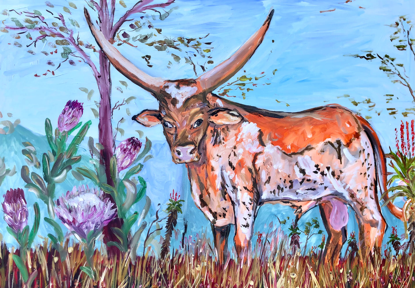 Nguni Bull with Proteas