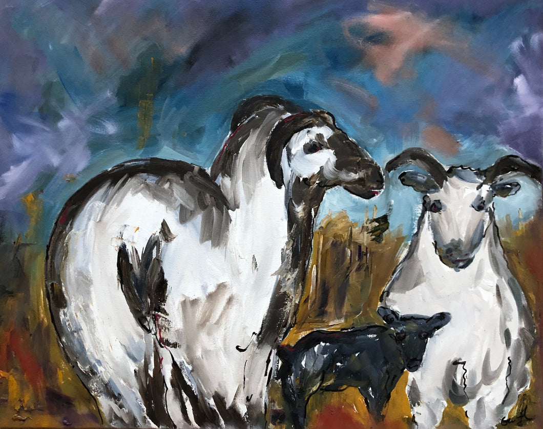 Jacobs Sheep painting - Garth Bayley 