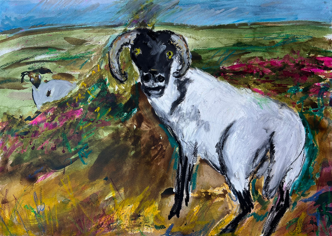 Swaledale sheep in the moors - Sheep painting