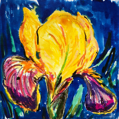 Iris - Flower Painting