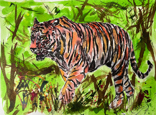 Tiger Tiger, Bring me luck - Animal Painting