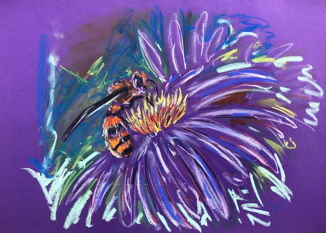 To Bee or not to Bee - Bee Drawing